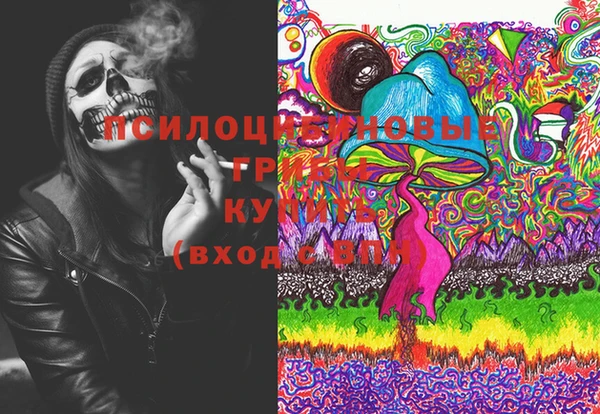 героин Алексин