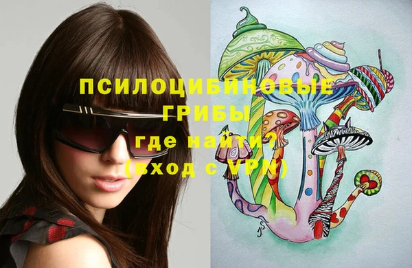героин Алексин