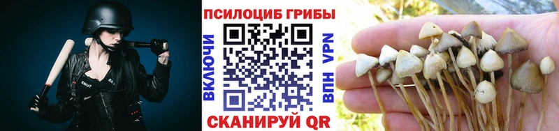 даркнет какой сайт гидра зеркало Асино Галлюциногенные грибы прущие грибы